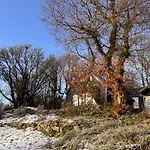 Sligo Forest Retreat
