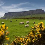 Benbulben Court