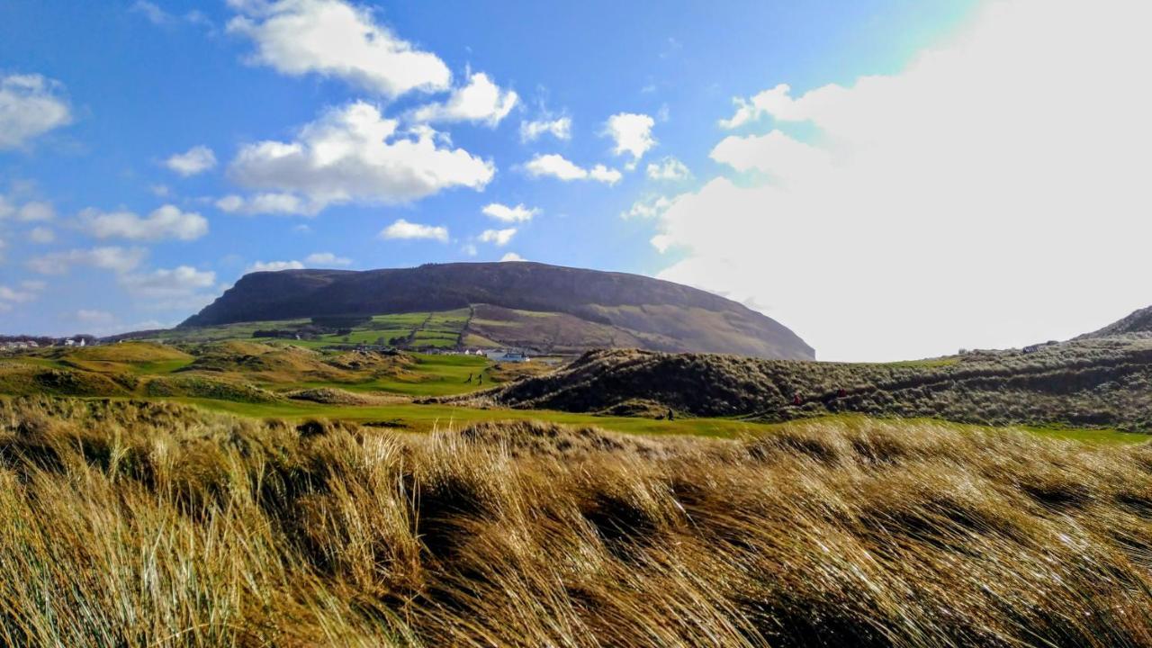 Surfnstay Strandhill Lodge, House & Surf Guest house *