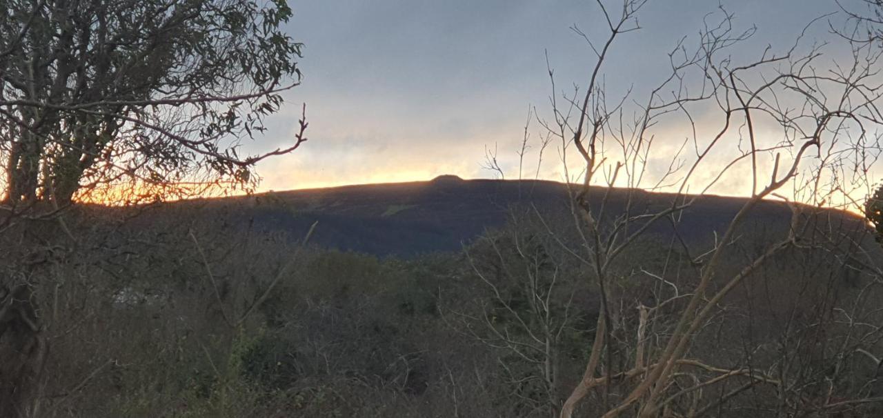 Rosemount Sligo