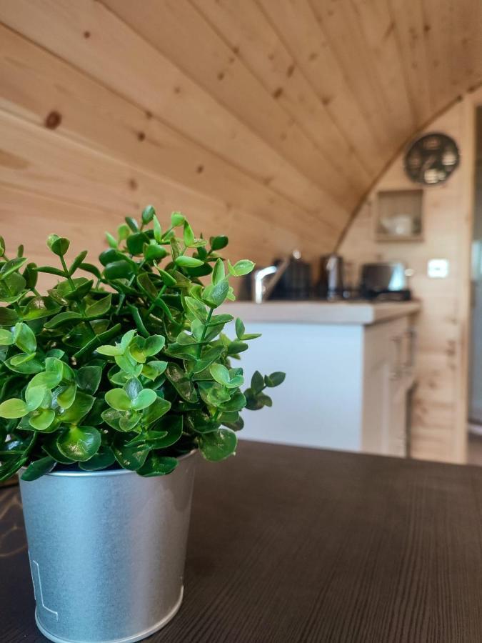 Haven Pod Easkey Campsite Sligo