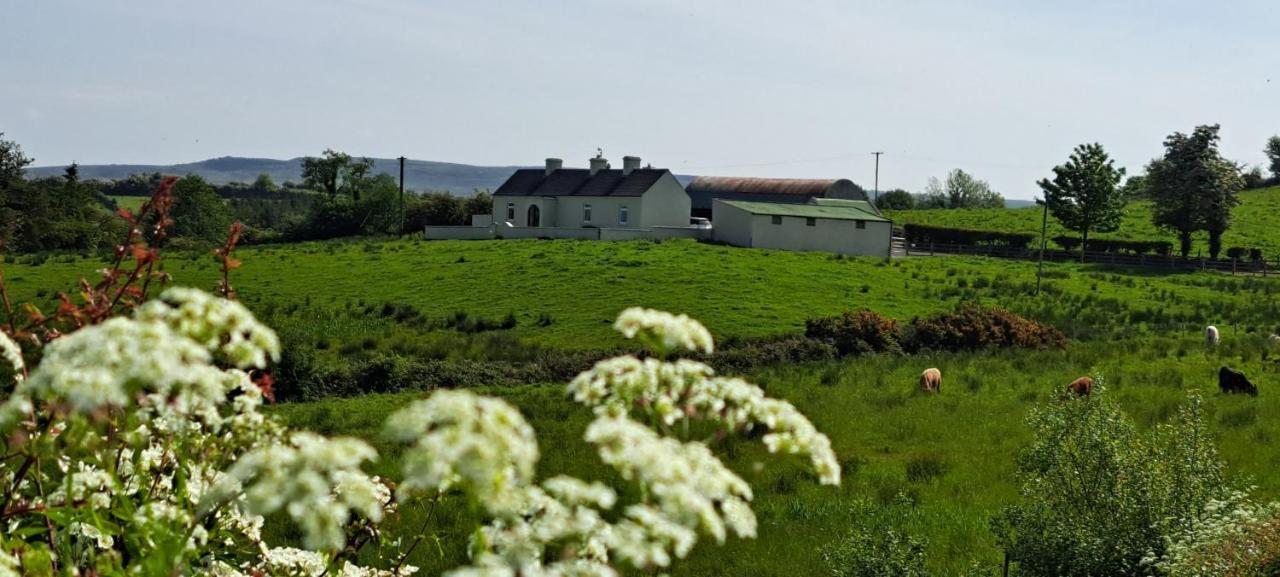 Patricia's Country Sligo