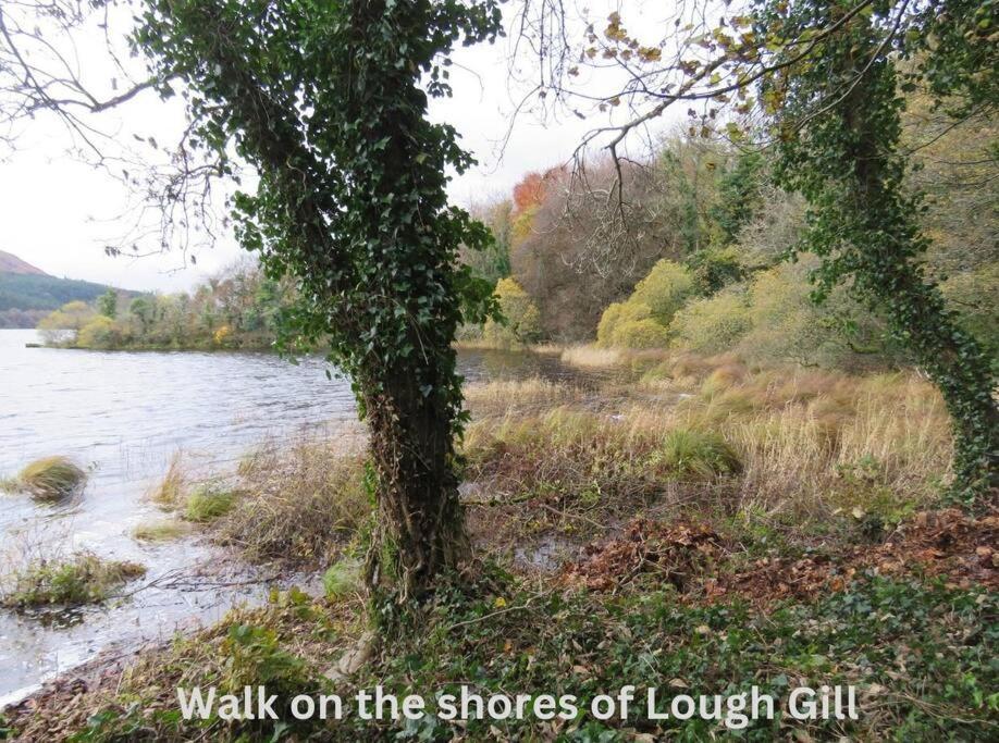 Innisfreedom Apartment Sligo