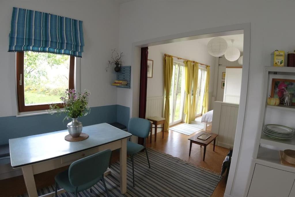 Innisfreedom Sligo