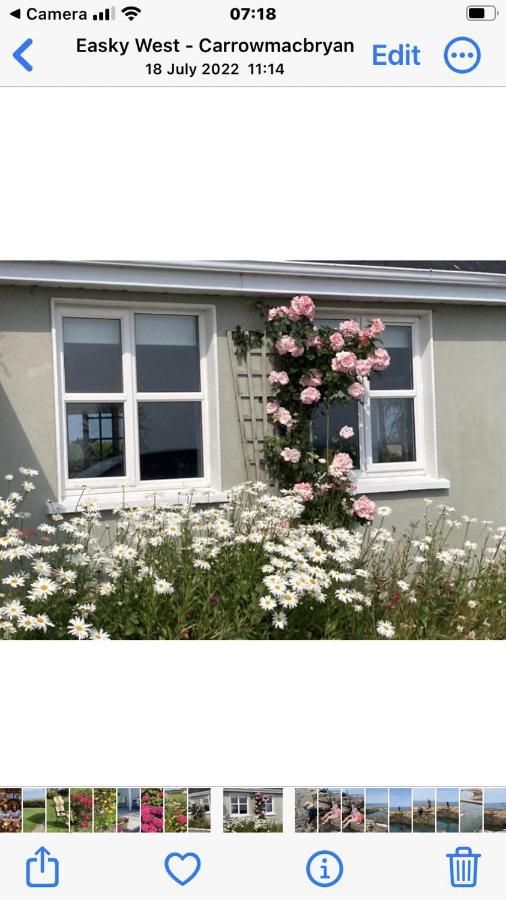 Wild Atlantic View Bed & Breakfast *