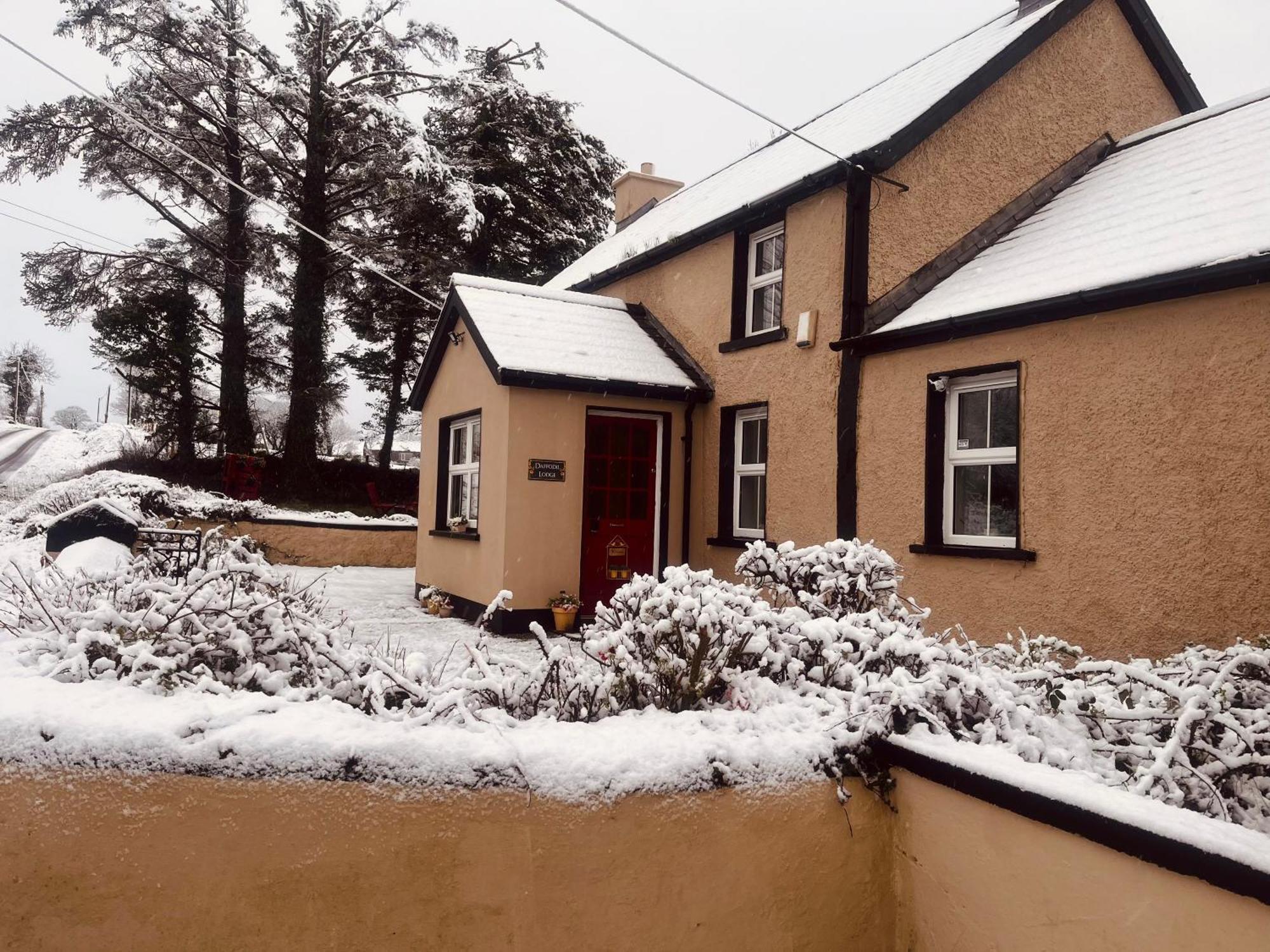 Daffodil Holiday home