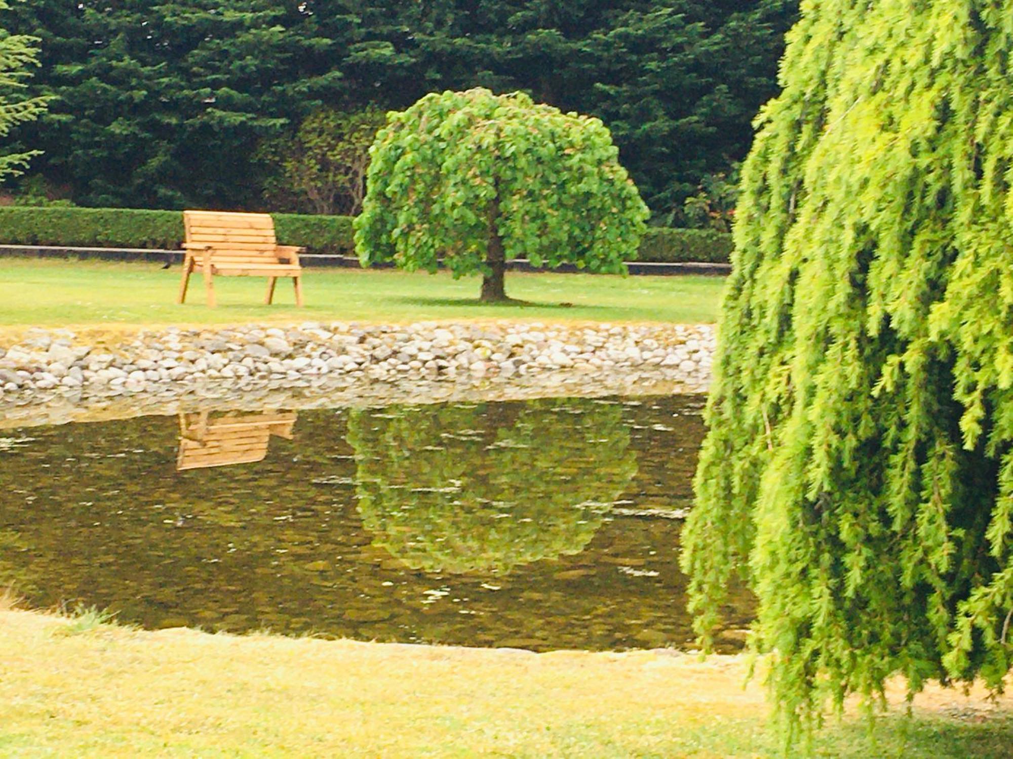 Castledale Bed and breakfast Sligo