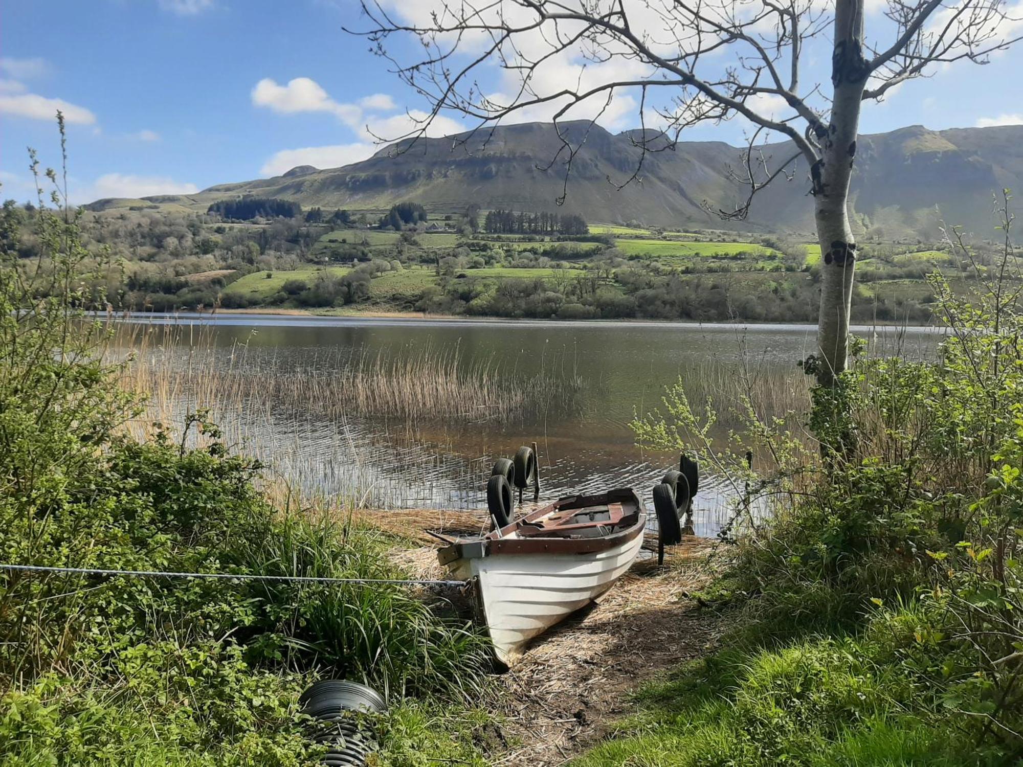Willow F91x0c8 * Sligo