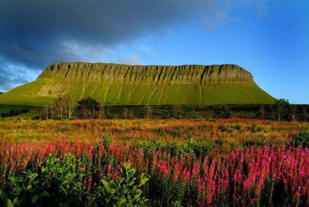 Fantastic Centre In Sligo