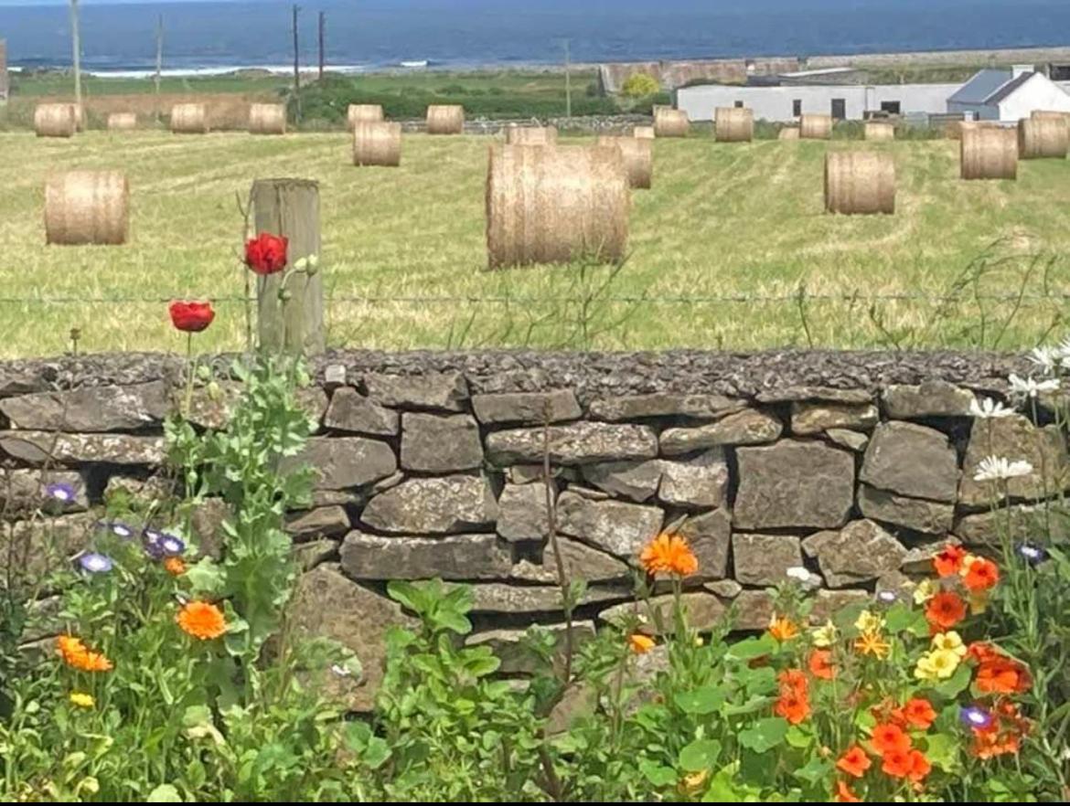 Wild Atlantic View