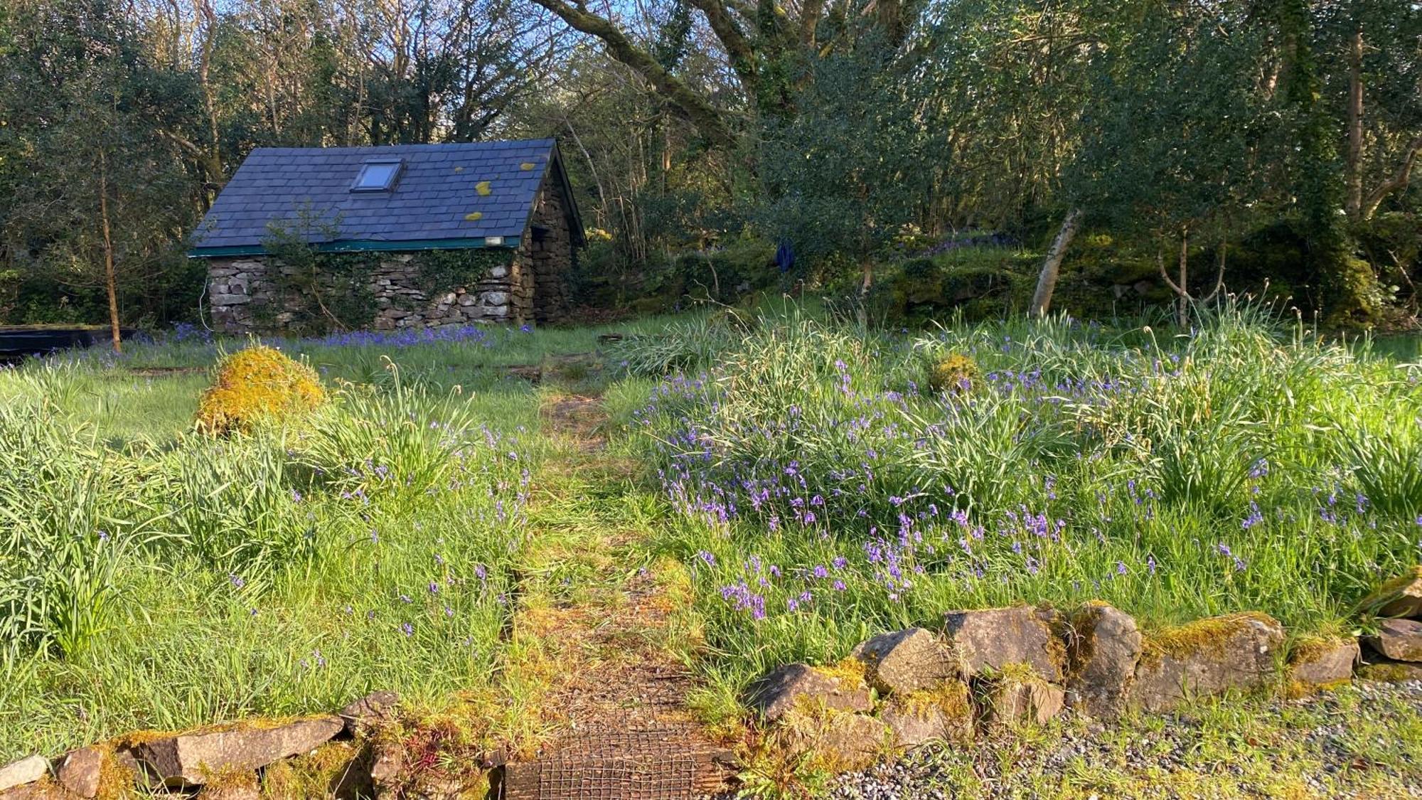 Forest Retreat Holiday home Sligo