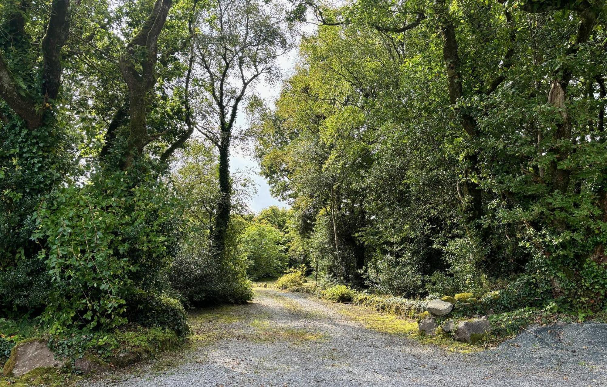 Forest Retreat * Sligo