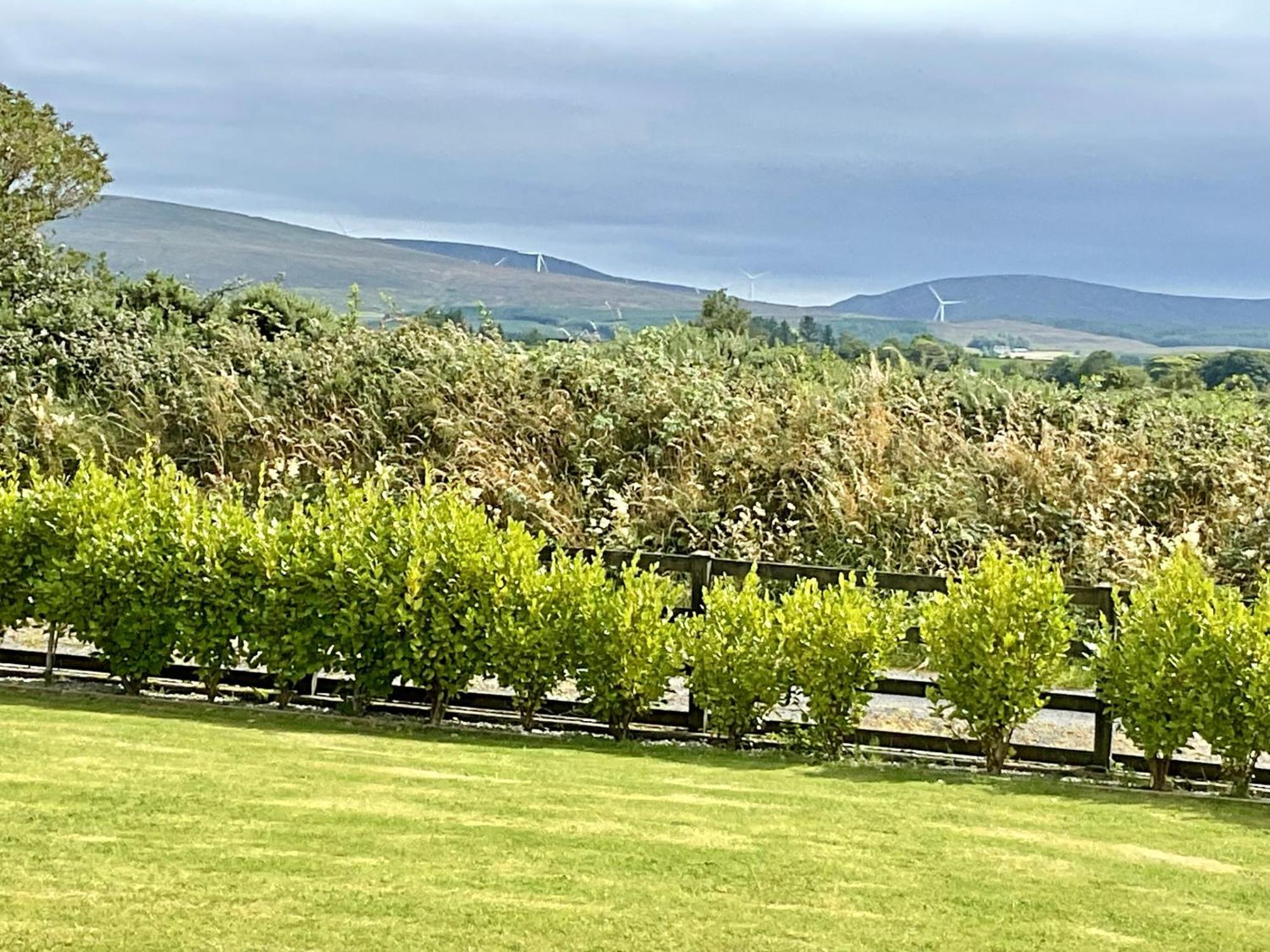 Hazeltree *