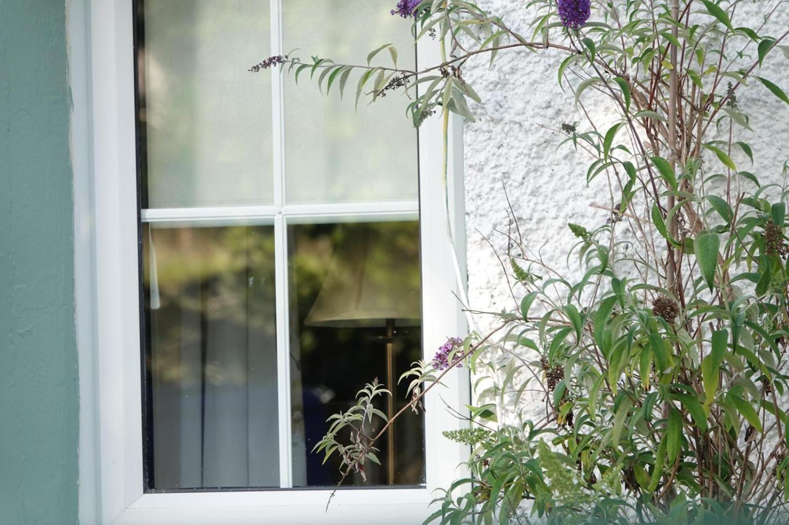 Clover Сasa de vacaciones Sligo