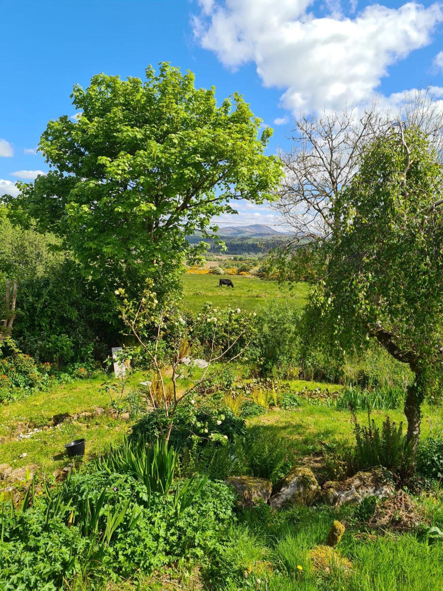 Innisfreedom Sligo
