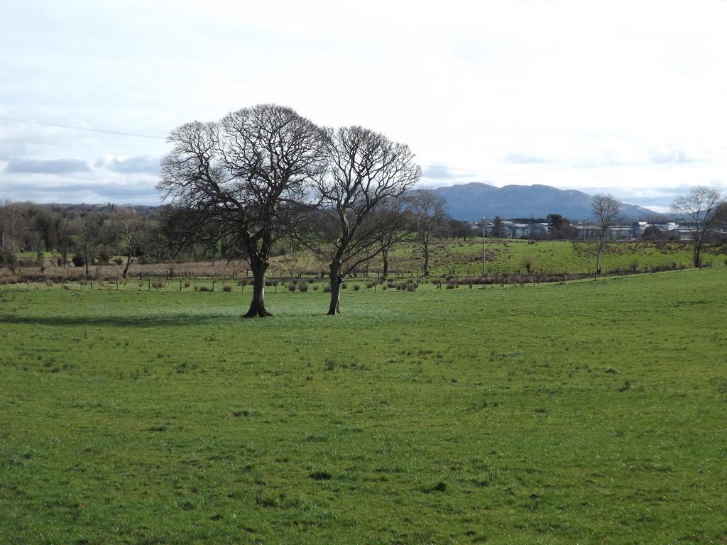 The Red & Stables 3* Sligo