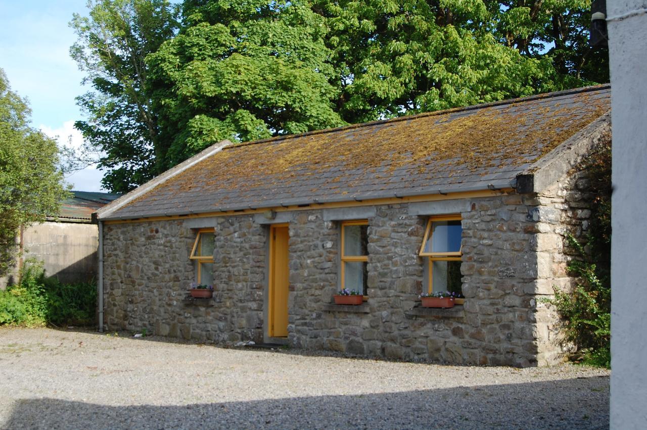 Ardtarmon Garden *