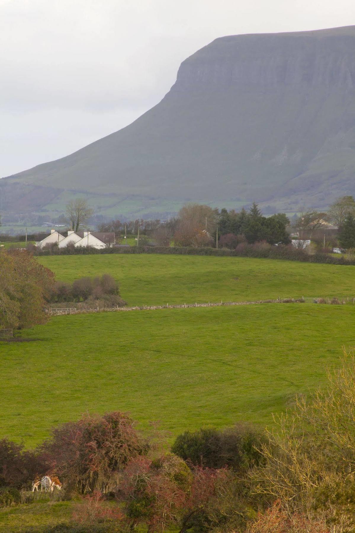 Radisson Blu & Spa, Sligo