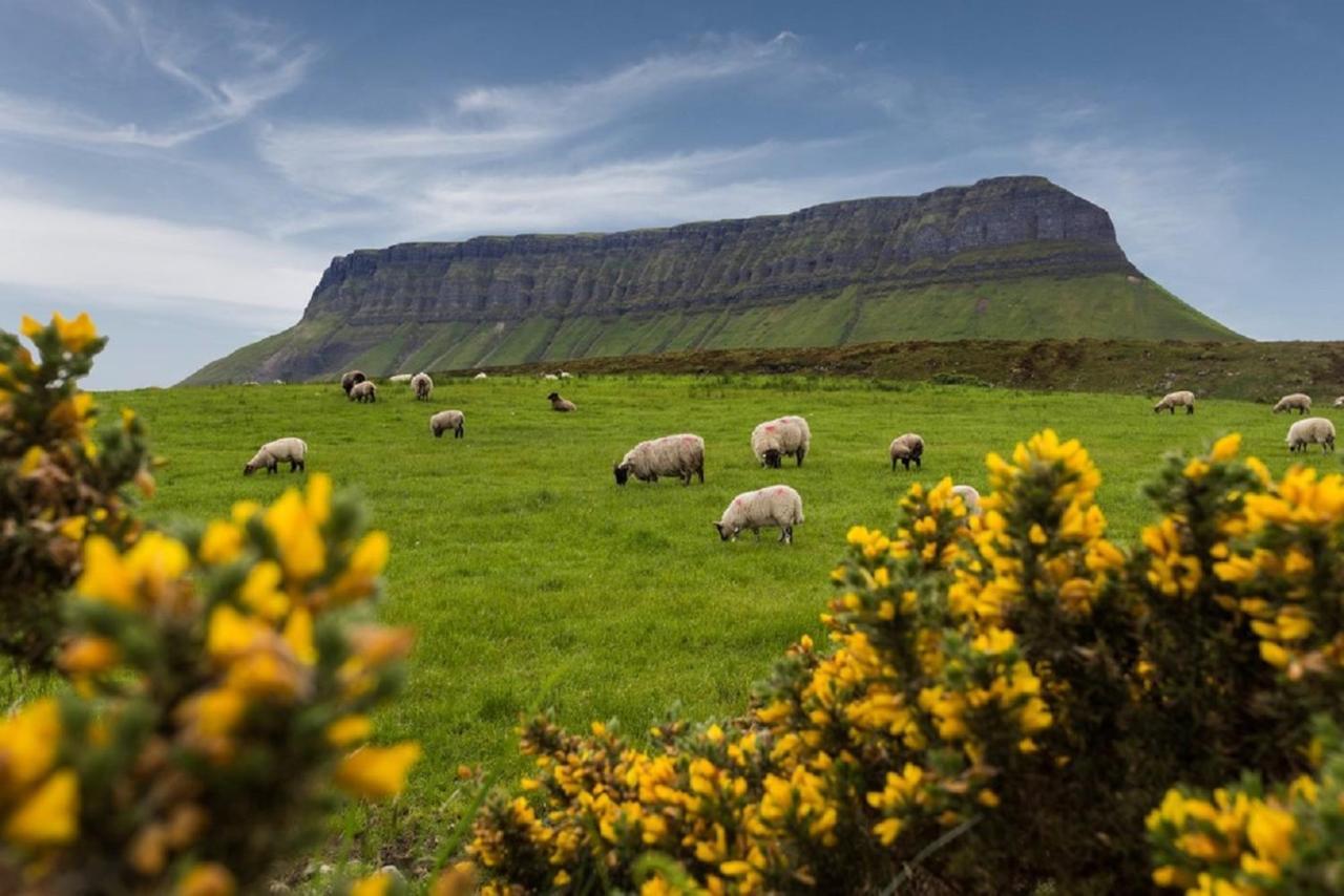 Apartment Benbulben Court *