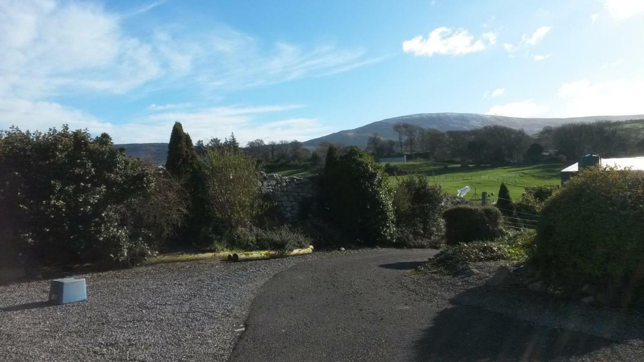 Avondale Sligo