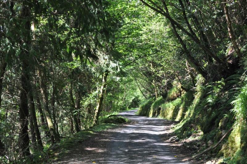 Old Homestay Sligo